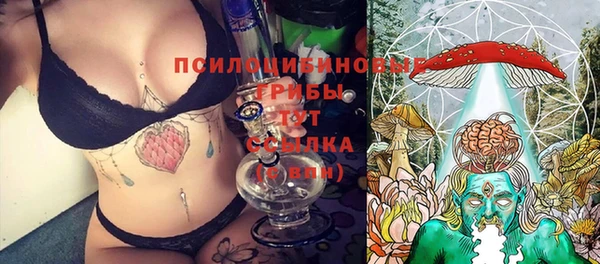 spice Володарск