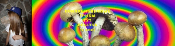 spice Володарск