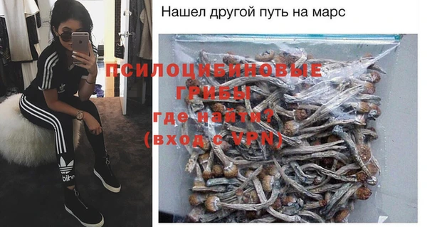 spice Володарск